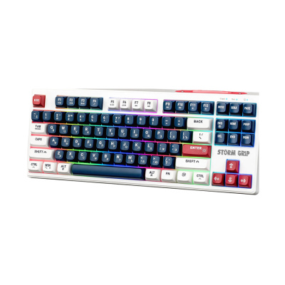 Клавиатура беспроводная игровая DEFENDER Storm Grip GK-188 RU, 87+FN,радуж,2.4G+BT, белый/синий (1/20)