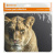Коврик DEFENDER Wild Animals, 8 изображений, 220x180x2 мм (1/8/200) Коврик DEFENDER Wild Animals, 8 изображений, 220x180x2 мм (1/8/200)